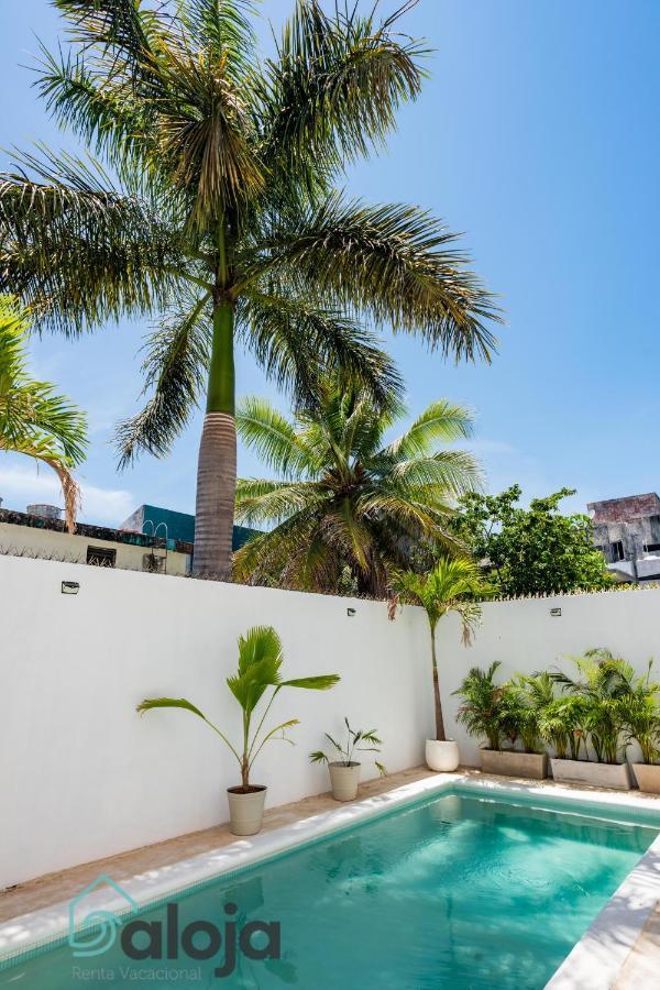 Vica Guest House Con Piscina En La Entrada De La Zona Hotelera Cancún Buitenkant foto